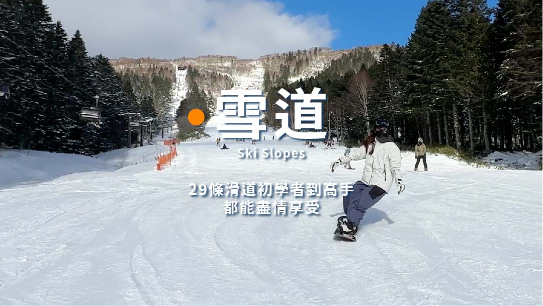 SnowLand滑雪講座0622 雪道
